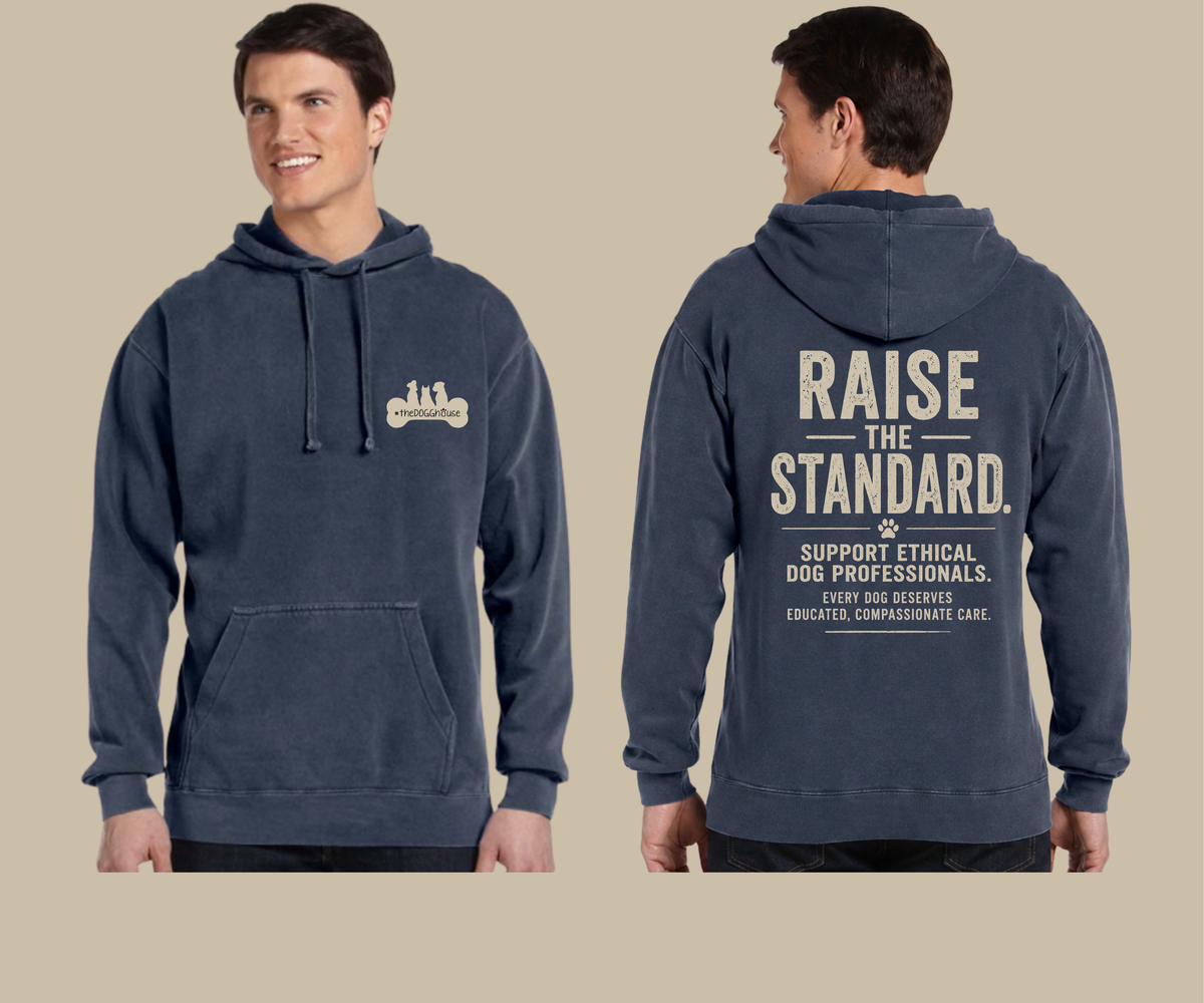 The DoggHouse Raise the Standard Premium Heavyweight Hoodie