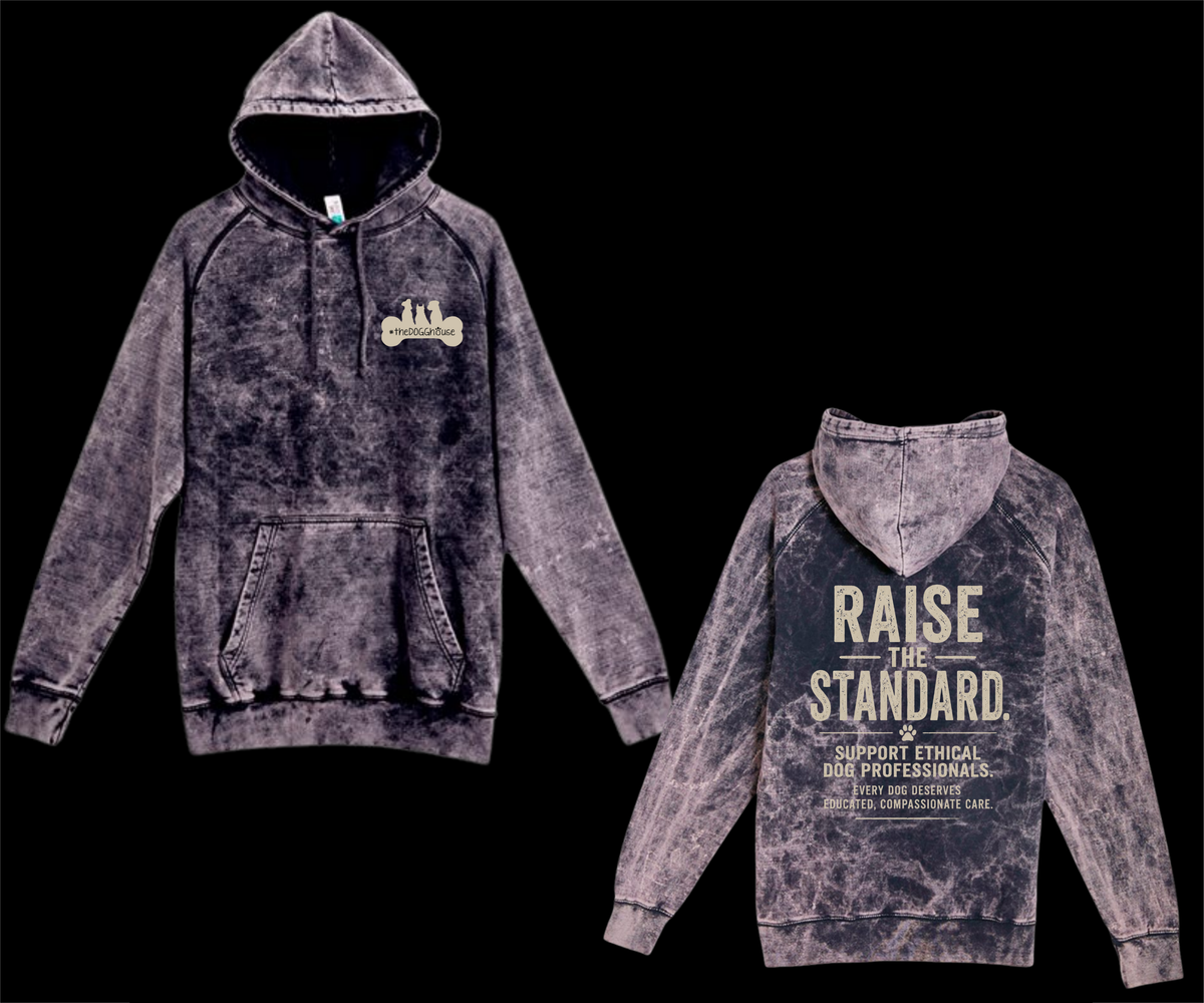 The DoggHouse Raise the Standard Vintage-Wash Hoodie