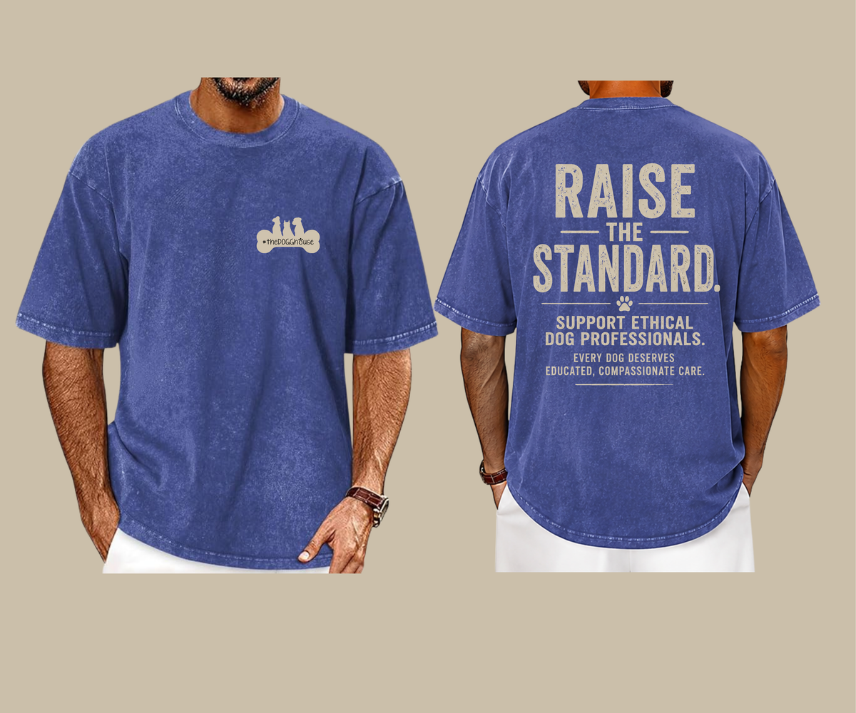 The DoggHouse Raise the Standard Vintage Tee